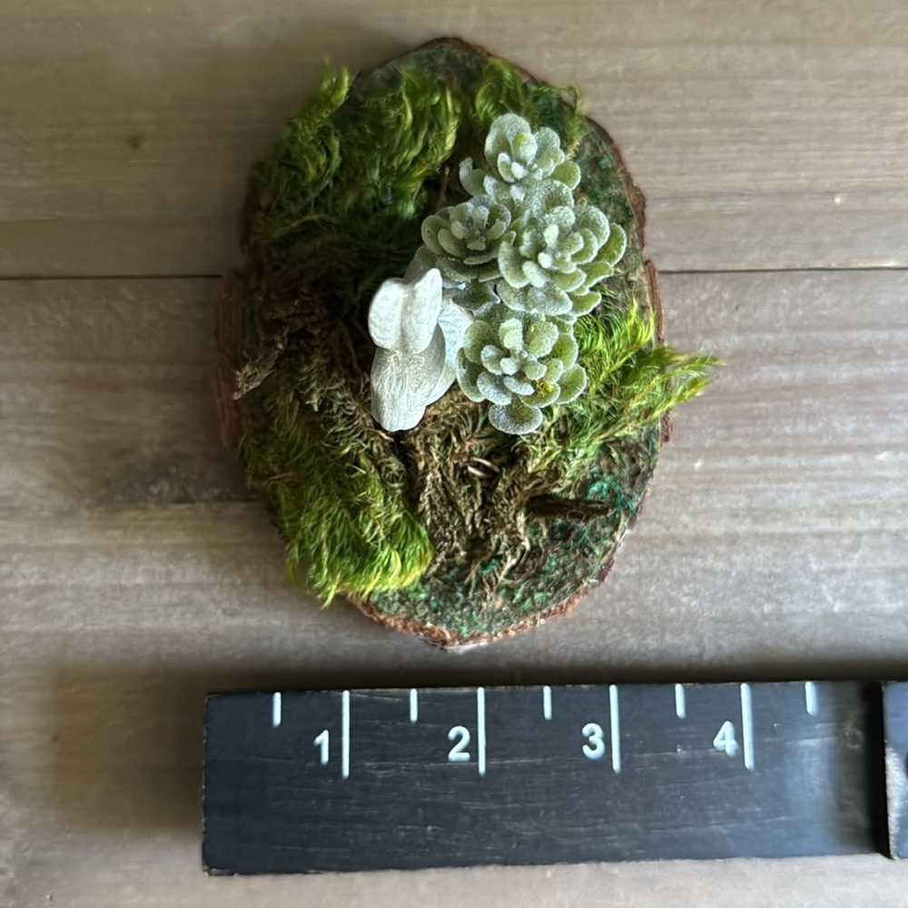 🐇 Easter/Spring Decor - Picture 8 of 9